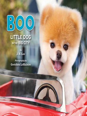cover image of Boo